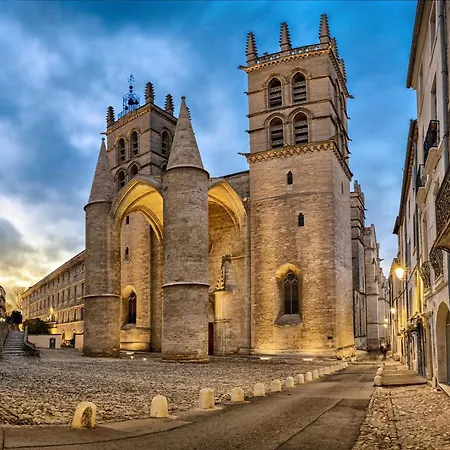 Апартаменты Perle Bleue - Charme & Serenite Hyper-centre *