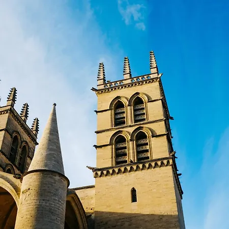 Perle Bleue - Charme & Serenite Hyper-centre Апартаменты