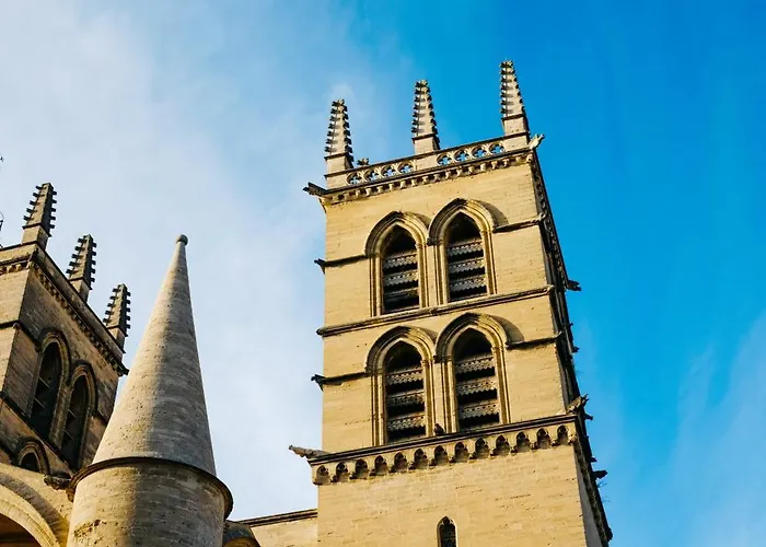 Perle Bleue - Charme & Serenite Hyper-centre شقة